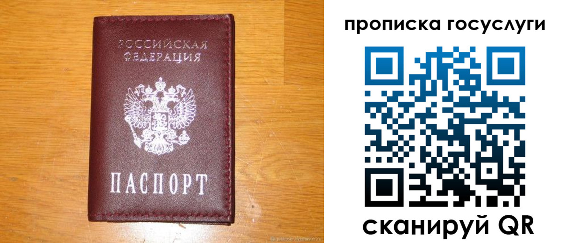 найти адрес прописки в Белгородской области